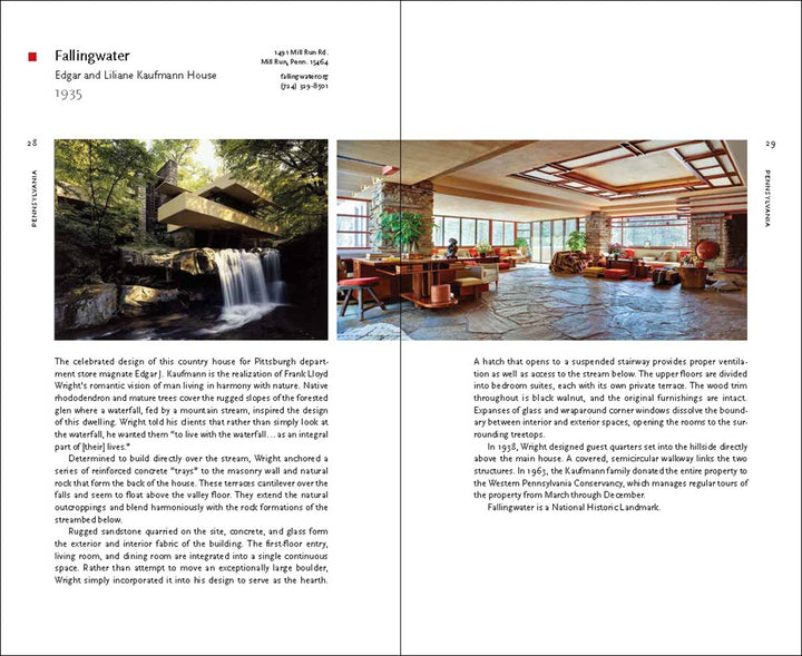 Tarantula Paperweights