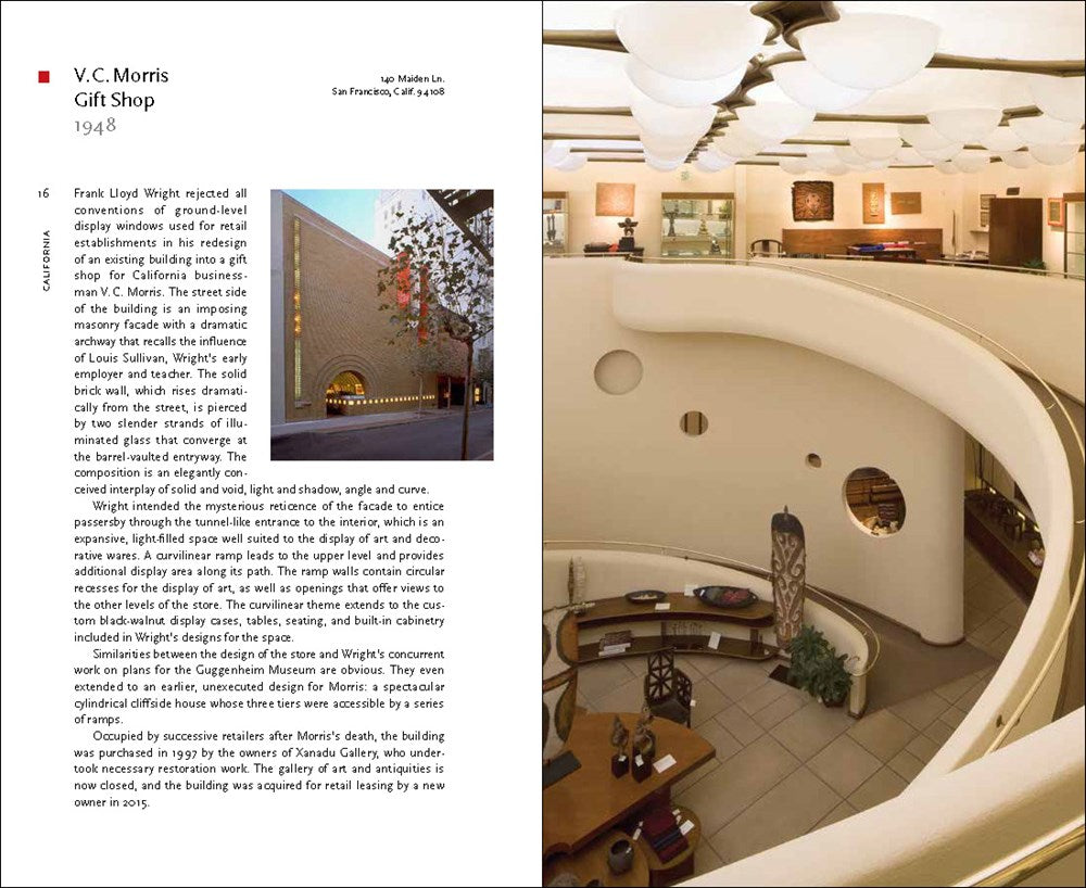 Tarantula Paperweights