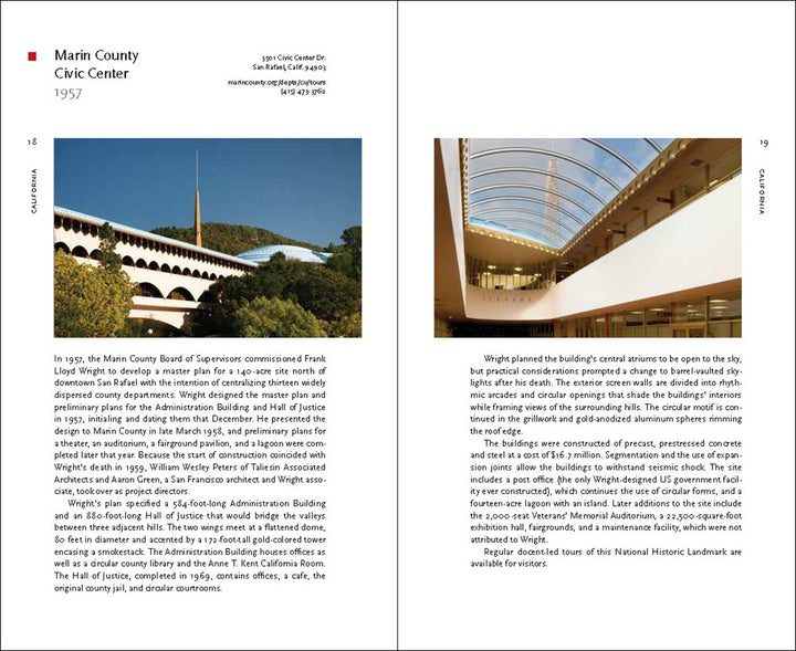 Tarantula Paperweights