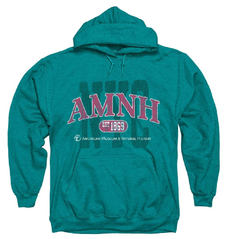 Adult AMNH NYC Double Lined Hoodie