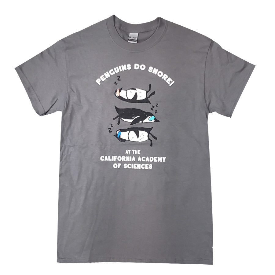 DVD | PBS NOVA Elegant Universe