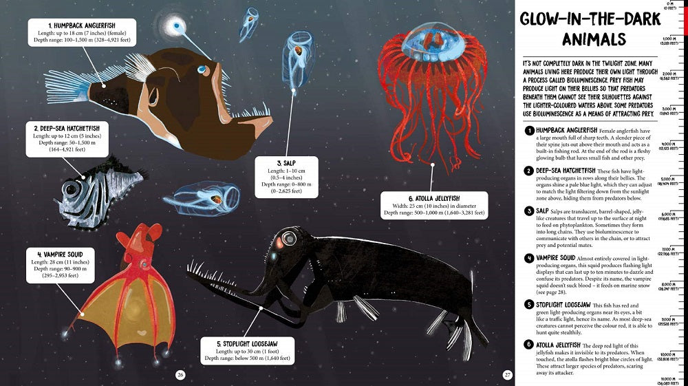 All The Way Down Ocean