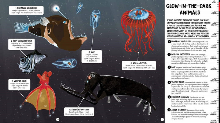 All The Way Down Ocean