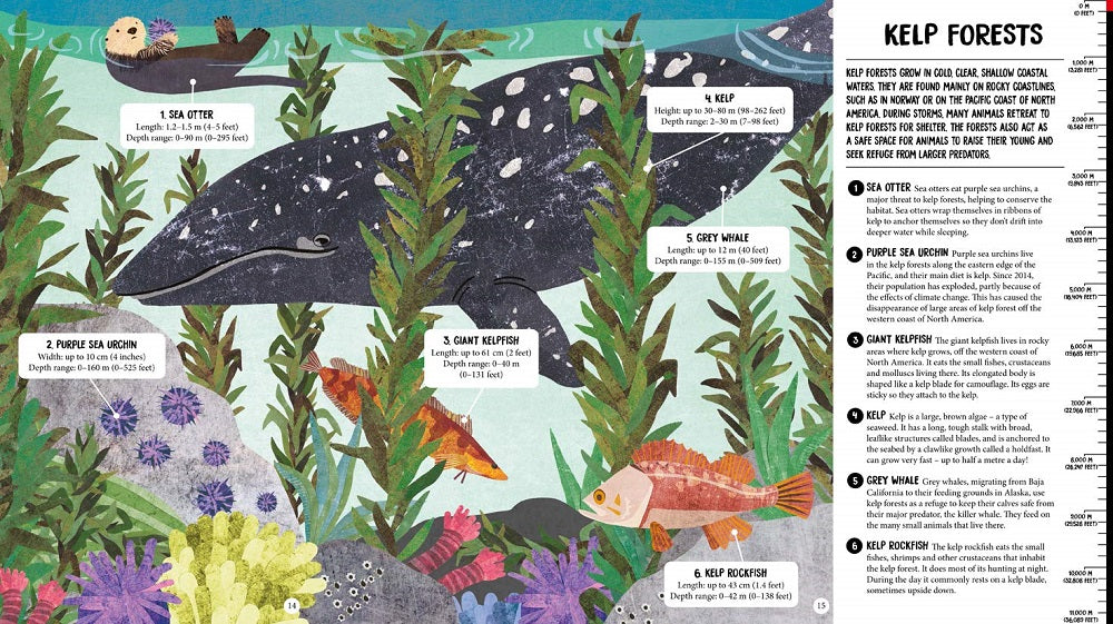 All The Way Down Ocean