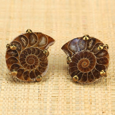Fossil Ammonite Clip-on Earrings