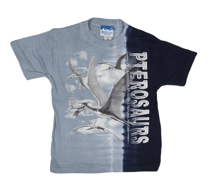 Boy's Pterosaurs Tee