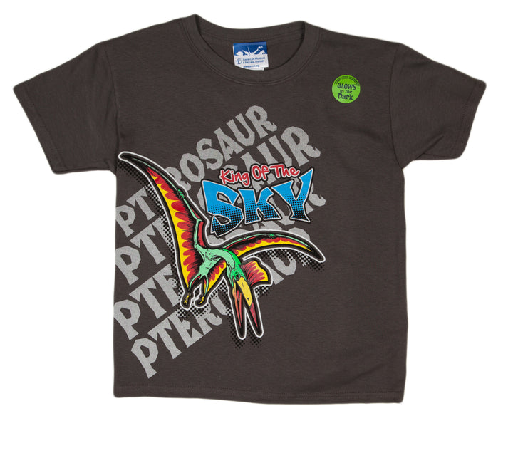 Boy's Pterosaur King of the Sky Glow-in-the-Dark Tee