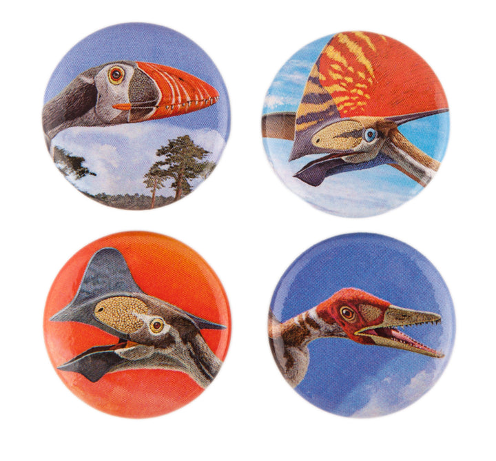 Pterosaur Button Set