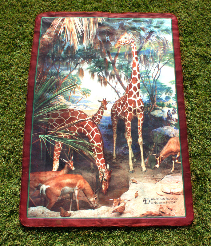 American Museum of Natural History Tote & Blanket Set