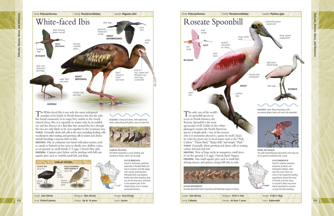 American Museum of Natural History Birds of North America