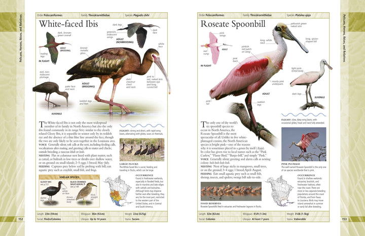 American Museum of Natural History Birds of North America