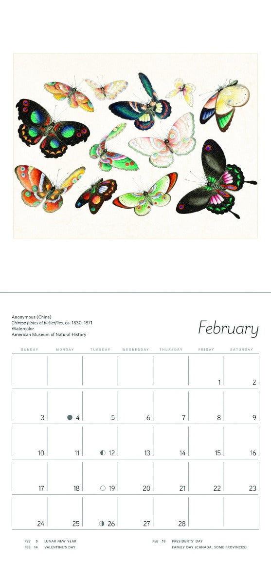 American Museum of Natural History 2019 Butterflies Mini Calendar