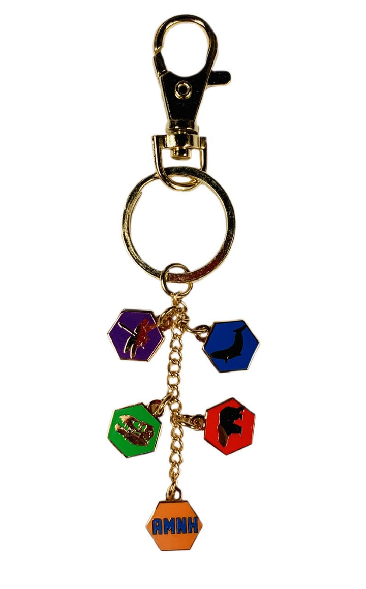 AMNH Color Icon Charms Keychain