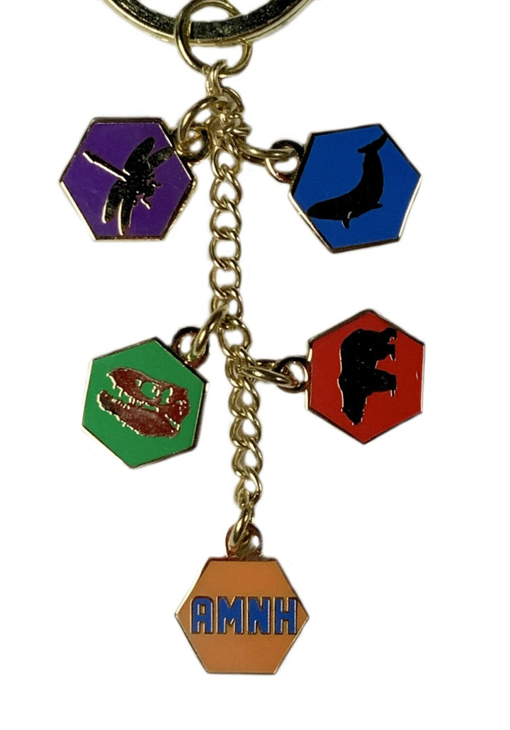 AMNH Color Icon Charms Keychain