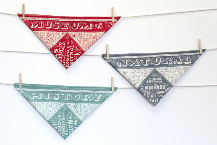 American Museum of Natural History Inspired Bandana