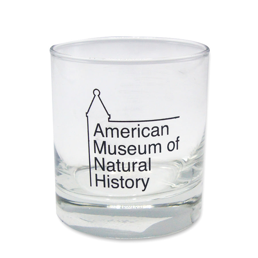 Baltic Amber Drop Necklace