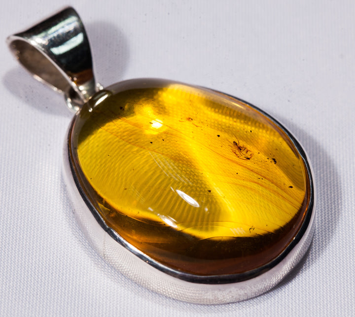 Amber Insect Pendant