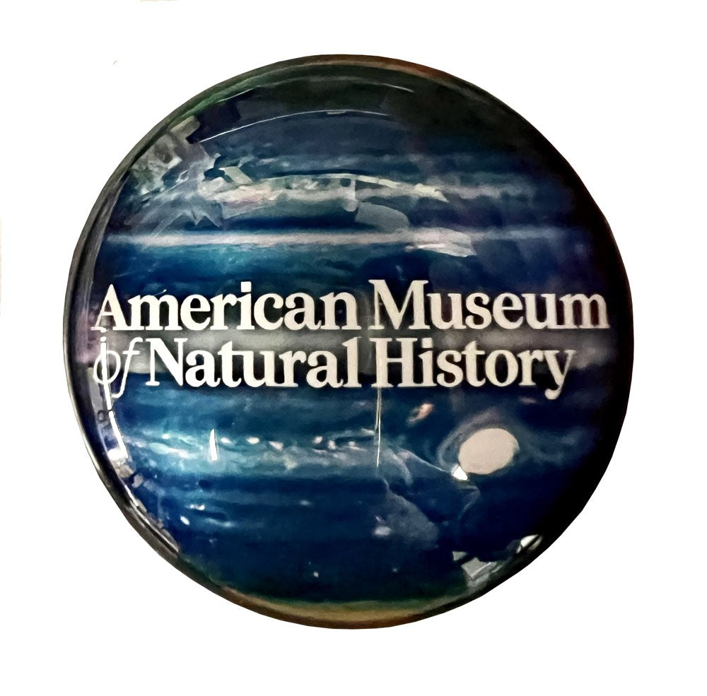 AMNH Jupiter Glass Dome Magnet