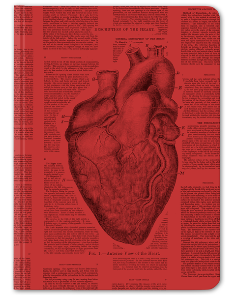 Anatomical Heart Journal