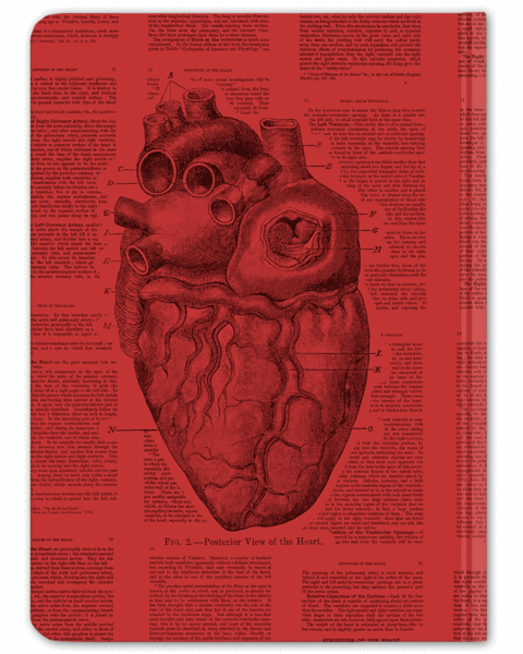 Anatomical Heart Journal