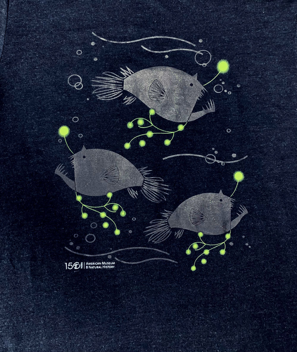 Thames & Kosmos The Human Body