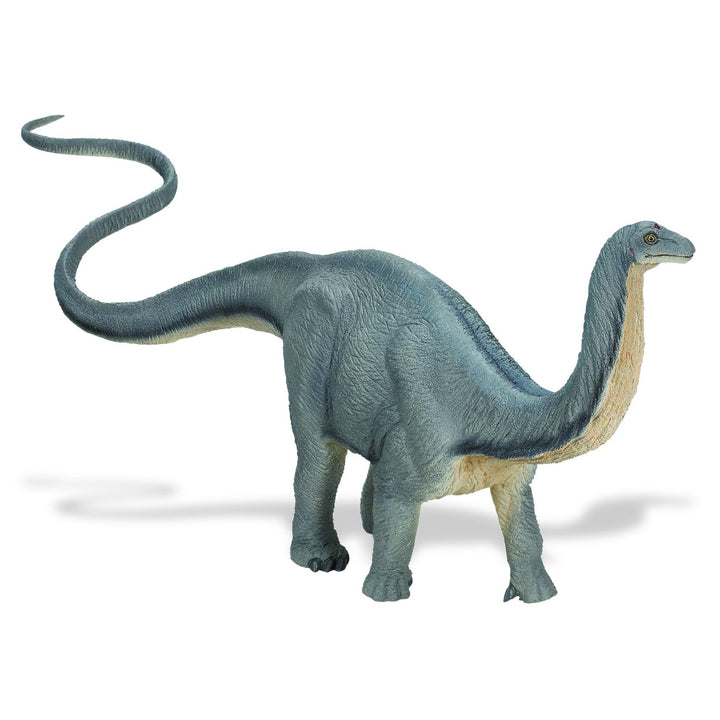 Wild Safari Apatosaurus