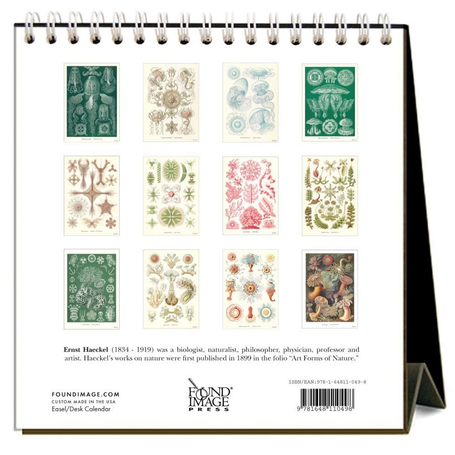Art Forms of Nature 2022 Desk Calendar