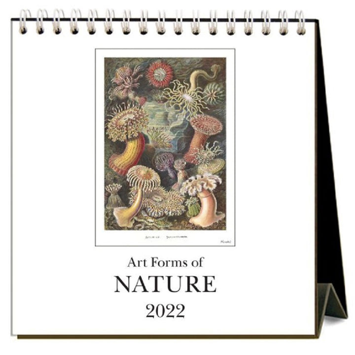 Art Forms of Nature 2022 Desk Calendar