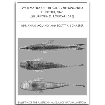 B336 (2010) Systematics of the genus Hypoptopoma Gunther