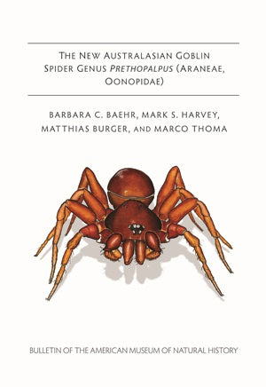 B369 (2012) The new Australasian goblin spider genus Prethopalpus (Araneae, Oonopidae).