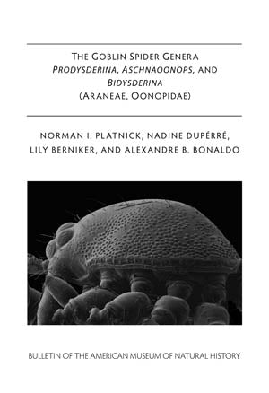 B373 The Goblin Spider Genera Prodysderina, Aschnaoonops, and Bidysderina