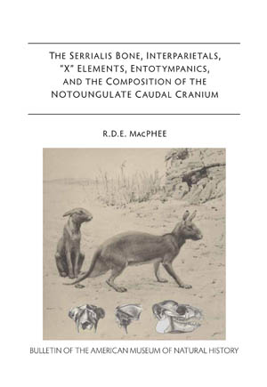 B384 (2014) The Serrialis Bone, Interparietals, “X” Elements, Entotympanics, and the Composition of the Notoungulate Caudal Cranium.