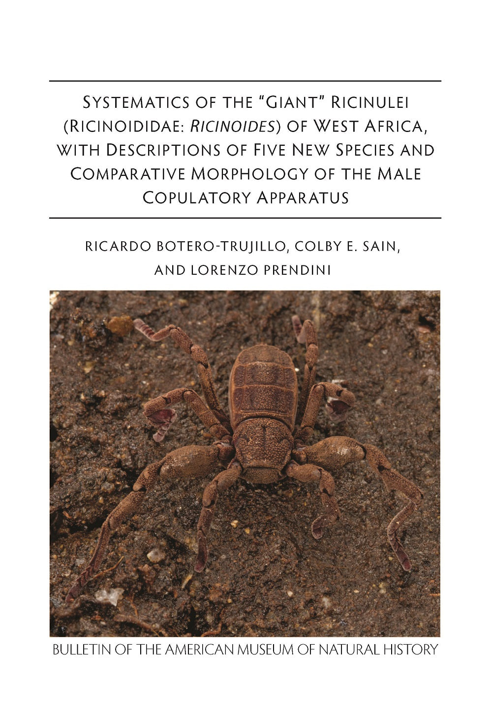 Malachite Gold Plated Bangle