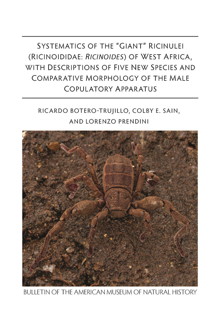 Malachite Gold Plated Bangle