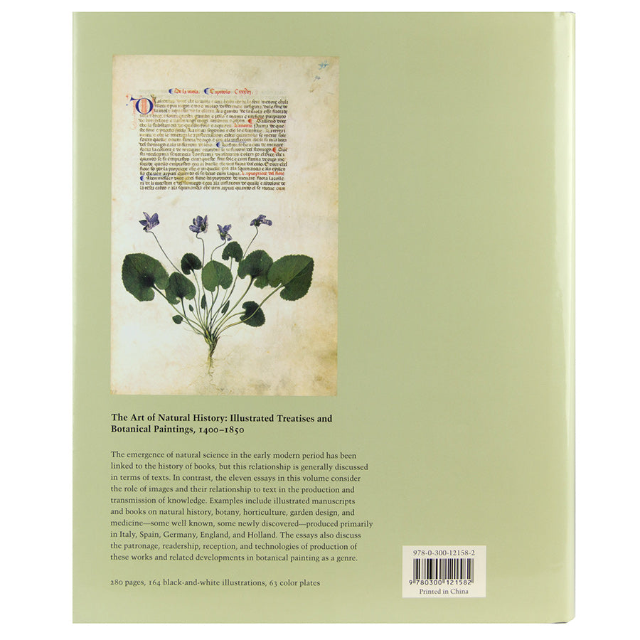 Plush Hammerhead Shark