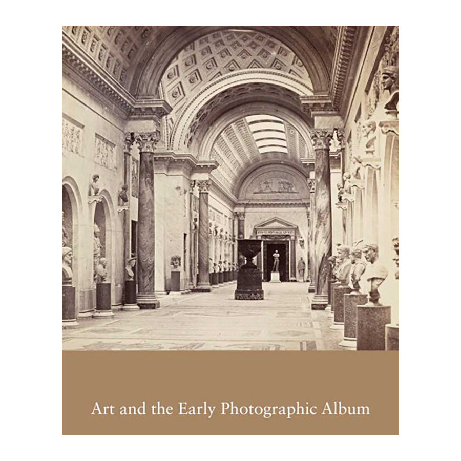 Plush Three Toed Sloth