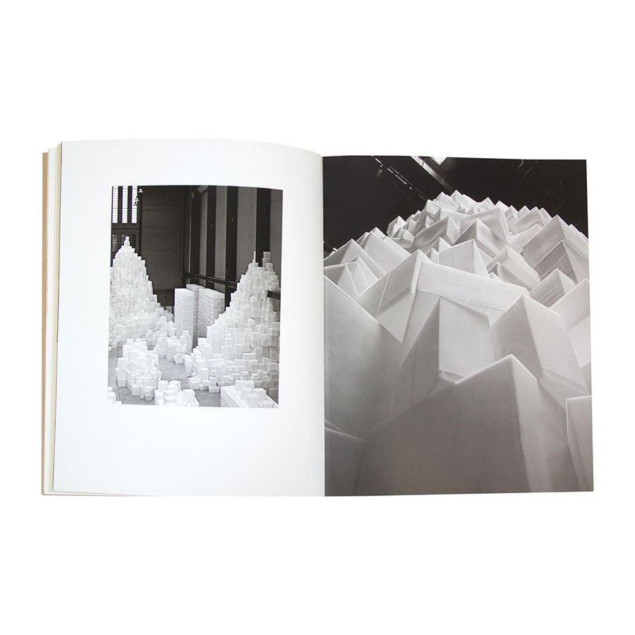 Rachel Whiteread: Embankment