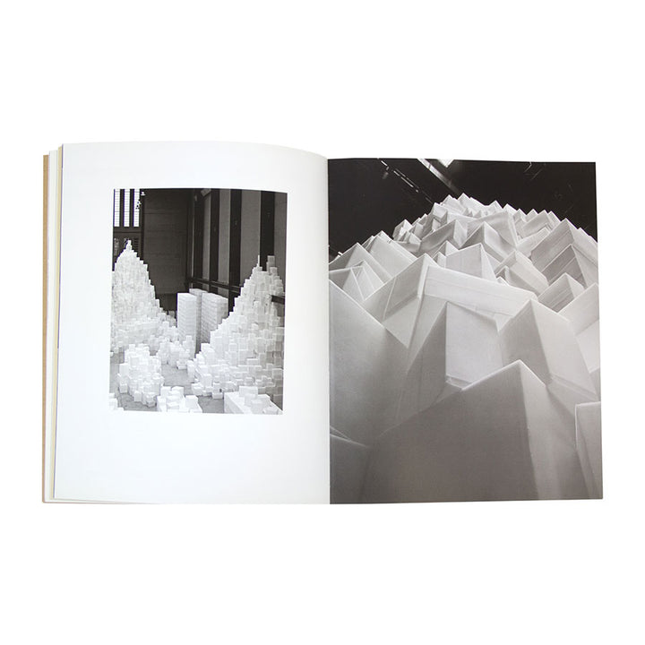 Rachel Whiteread: Embankment