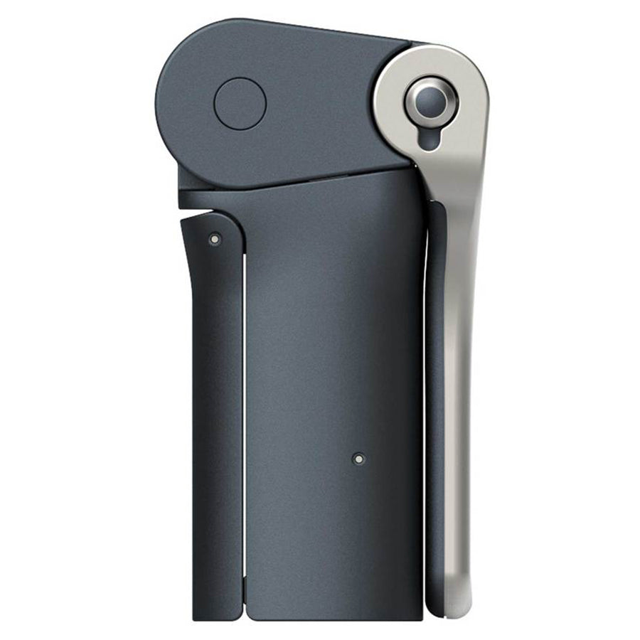 Sage 4 Brush Fan Calligraphy Set