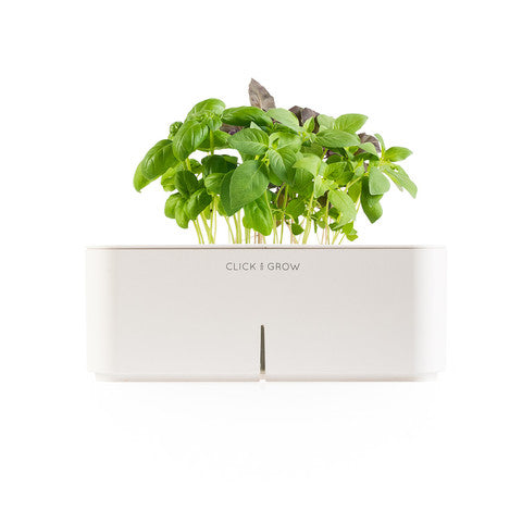 Click & Grow Starter Kit with Basil