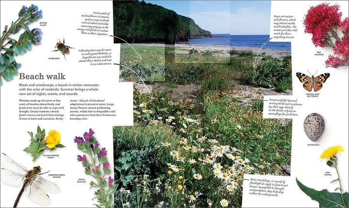 Audubon Nature Handbook