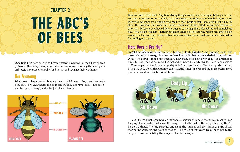 Turn This Book Into A Beehive!