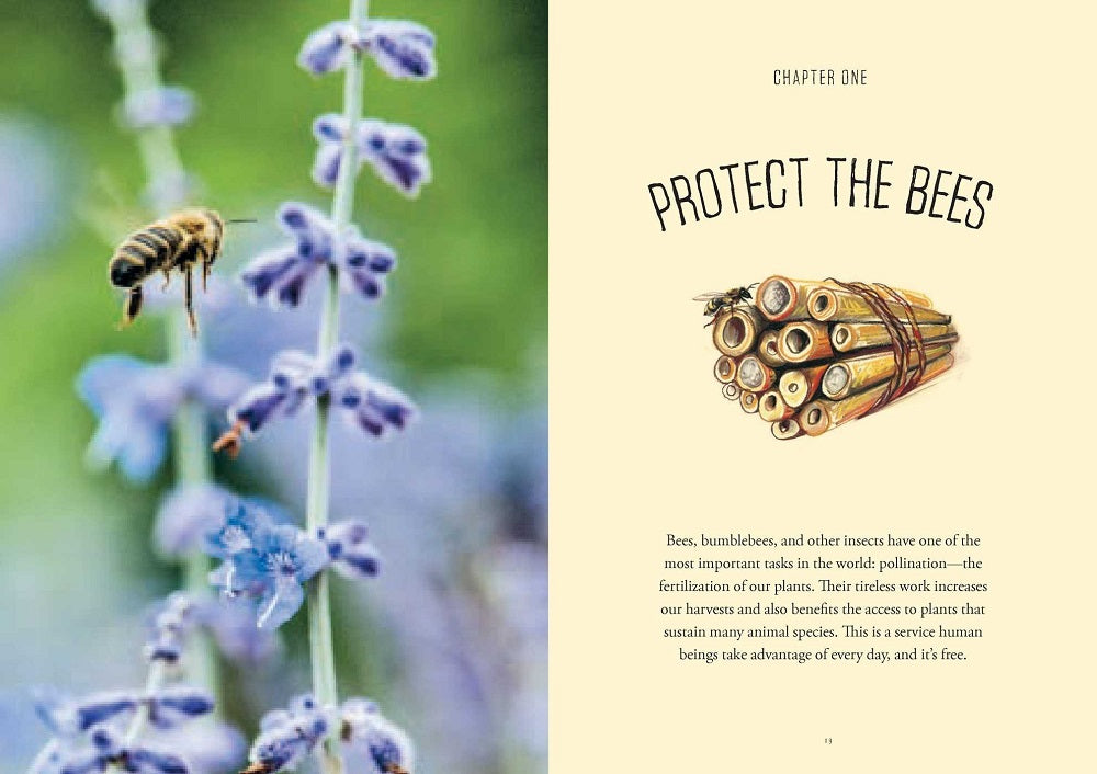 Beekeeping: A Handbook page