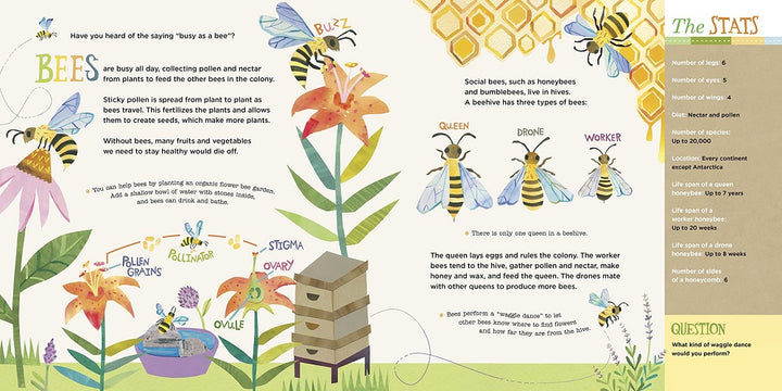 Exploring Insects bees