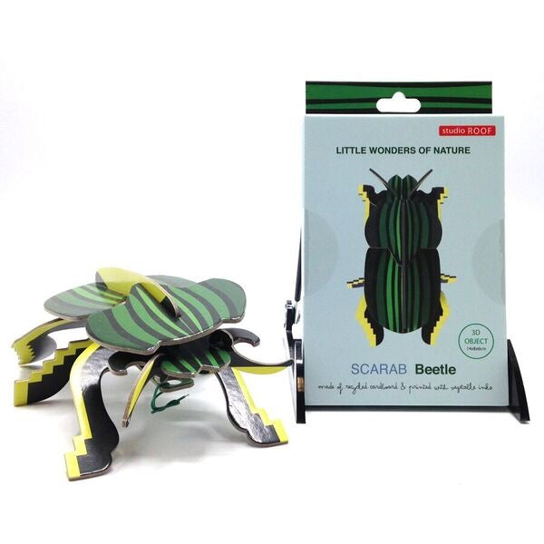 Recycled Cardboard Scarab Beetle Kit
