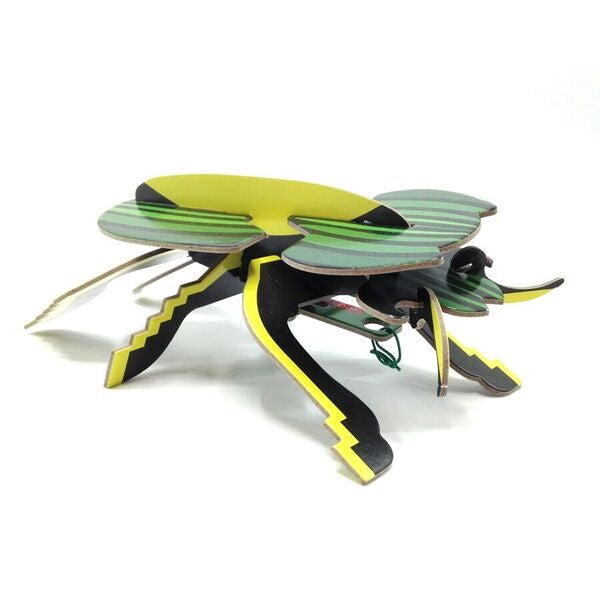 Recycled Cardboard Scarab Beetle Kit