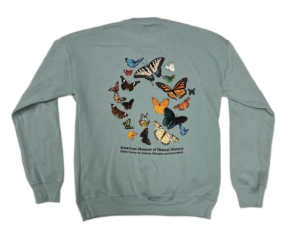 Adult AMNH Gilder Center Butterflies Sweatshirt Back