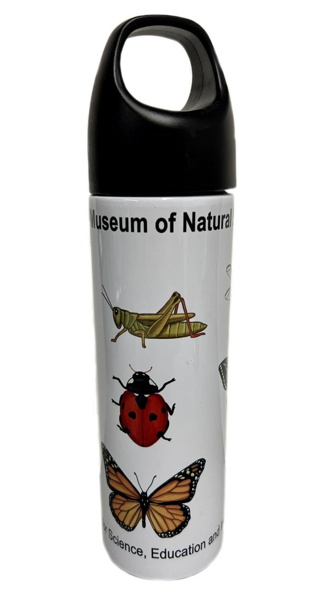 Gilder Center Insect Water Bottle C