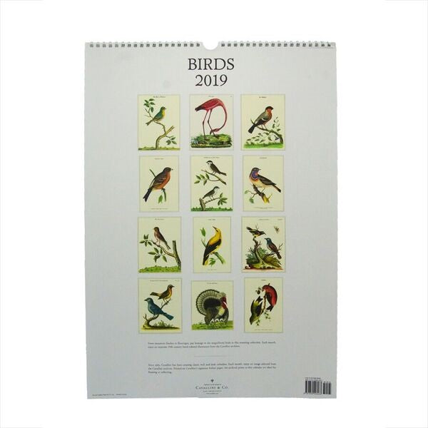 2019 Birds Wall Calendar