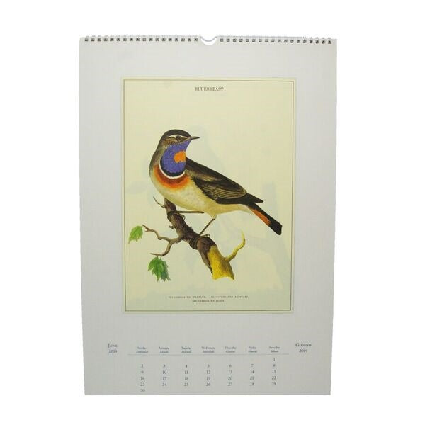 2019 Birds Wall Calendar